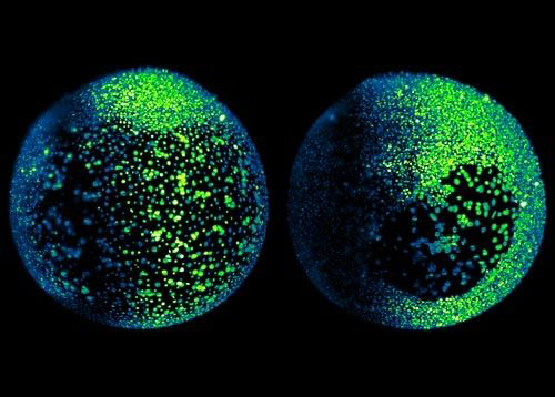 設計中國網(wǎng)：平面設計中的“兩極”!