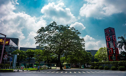 打造“設(shè)計(jì)順德”，為高質(zhì)量發(fā)展賦能