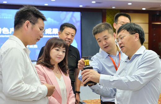 第三屆河北國際工業(yè)設(shè)計(jì)周定州分會場啟幕